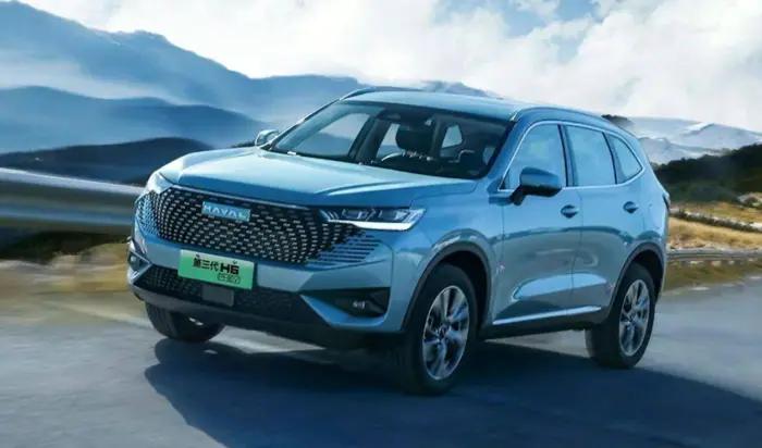 楦块箘涔嬪織涔惧潳鏈畾浣犳垜鐨嗕负榛戦┈,鍚埅涓浗2024