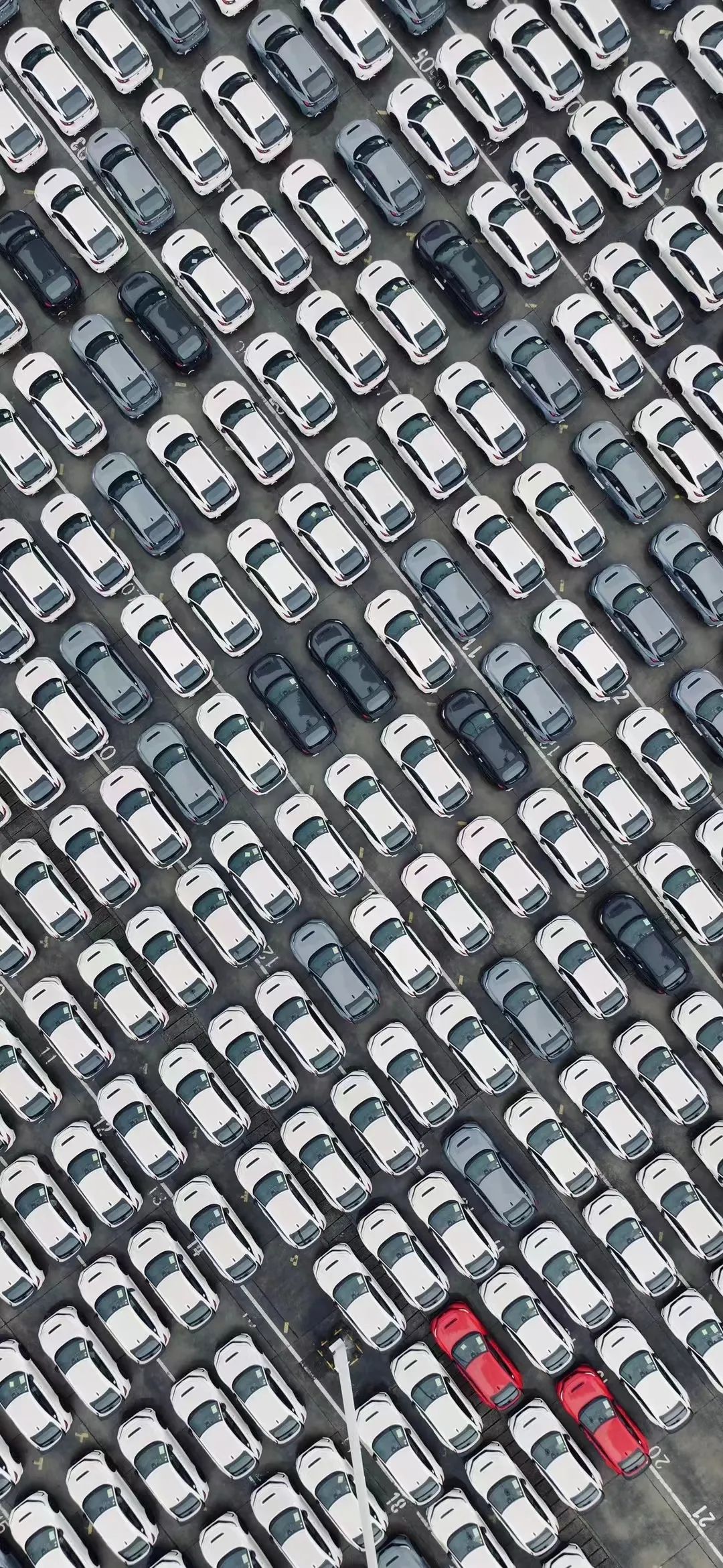 最便宜的汽油车全款不到3万,最便宜的合资汽油车