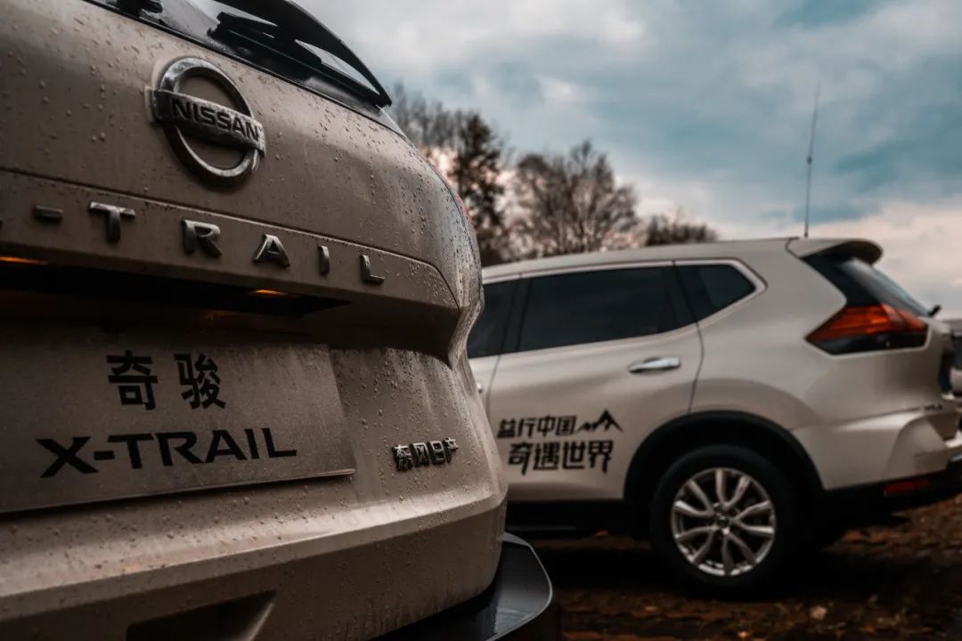 奇境探险最新攻略,奇境探险视频大全