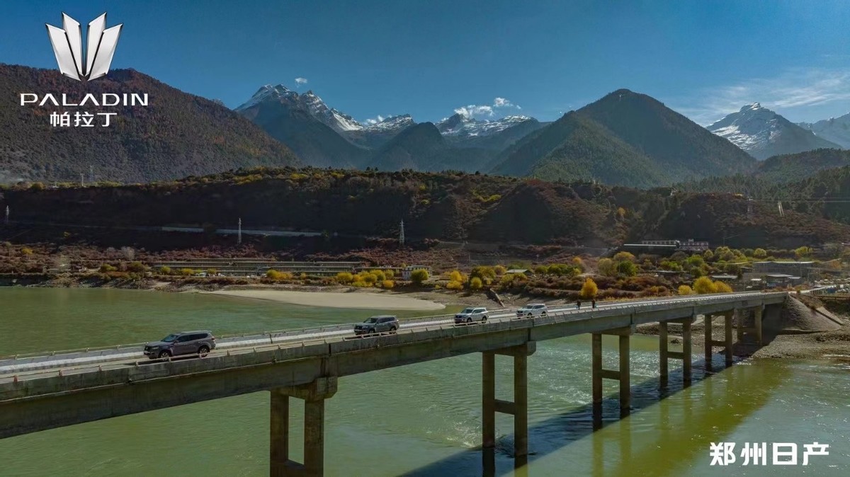 达喀尔拉力赛帕拉丁2004年,尼桑帕拉丁达喀尔拉力赛