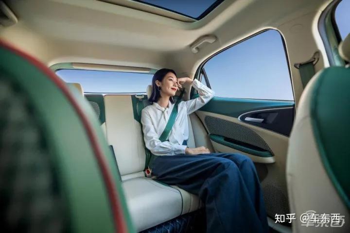 欧拉好猫如何俘获年轻人的心,欧拉好猫谁说优雅就不能酷