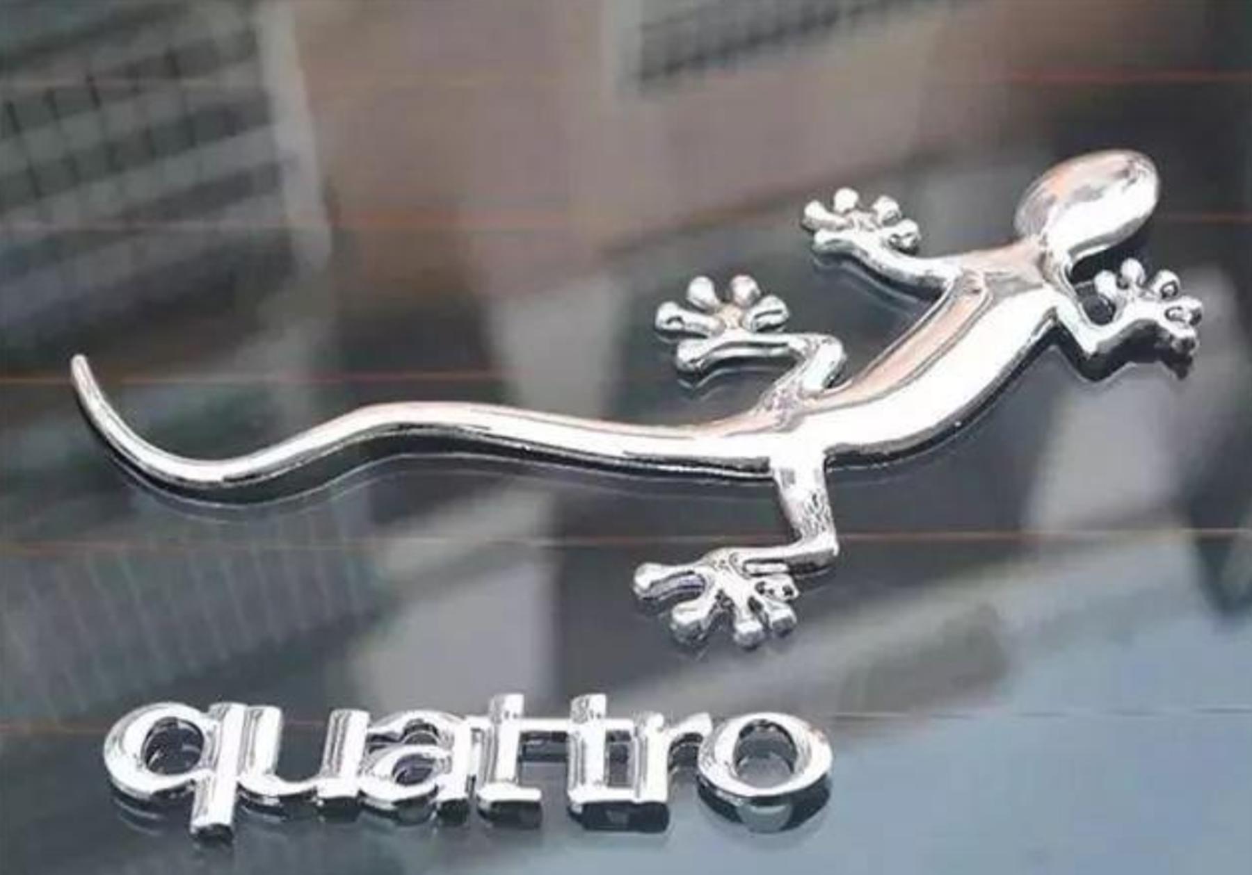 为什么都喜欢在汽车车身贴壁虎,车尾小壁虎一般都贴在什么地方