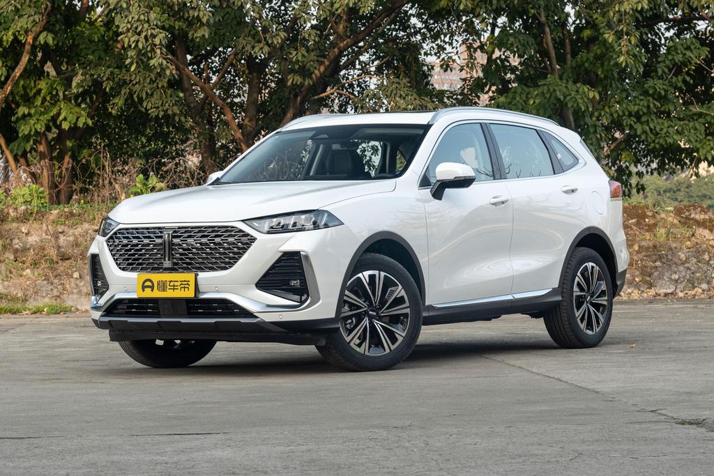 科技平权,科技平权是什么