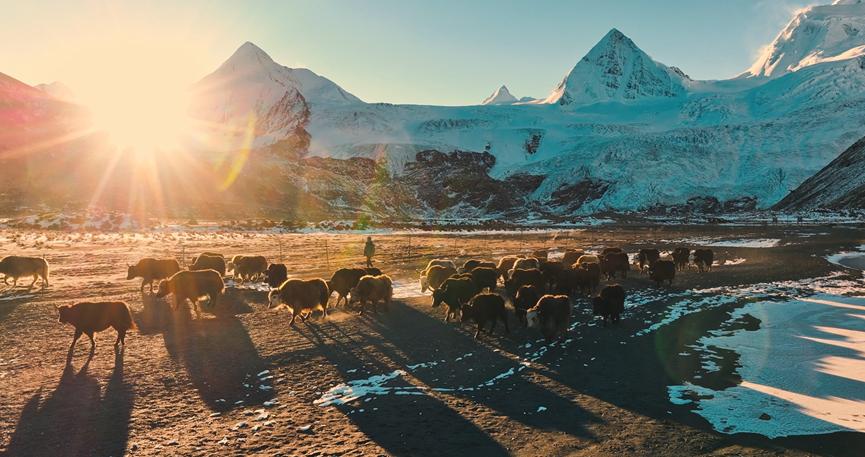 与信仰无关只求静心,唯有热爱与信仰