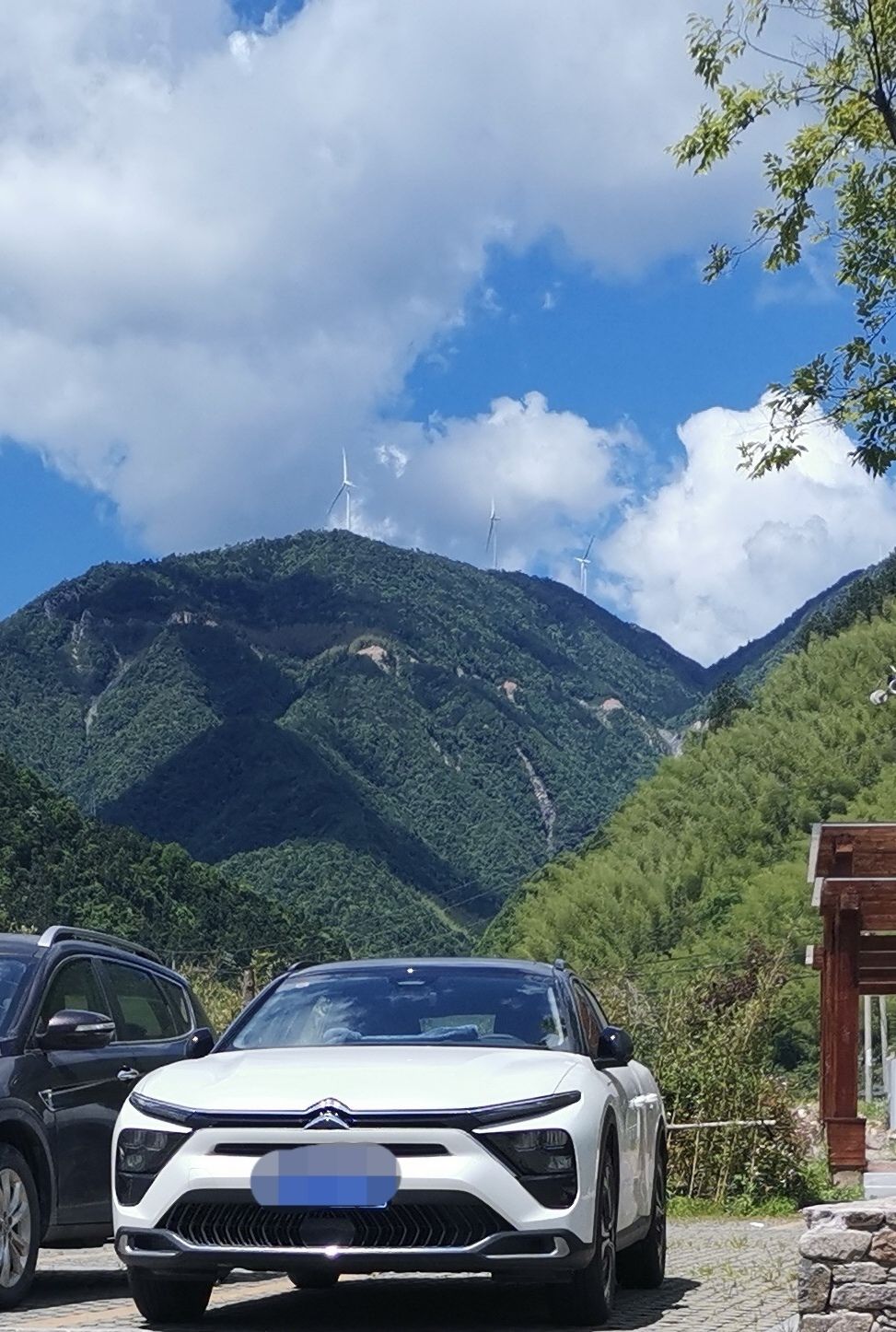 凡尔赛特别版用车感受,凡尔赛势不凡落地价及用车成本