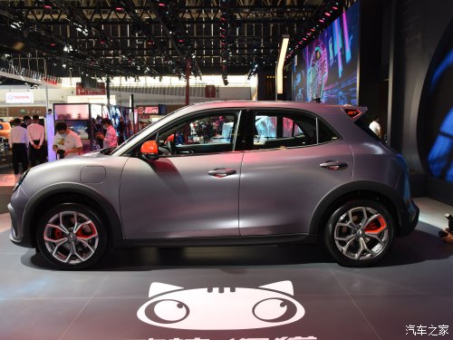 小姐姐的小猫咪,可爱的小野猫小姐姐