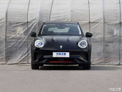 小姐姐的小猫咪,可爱的小野猫小姐姐