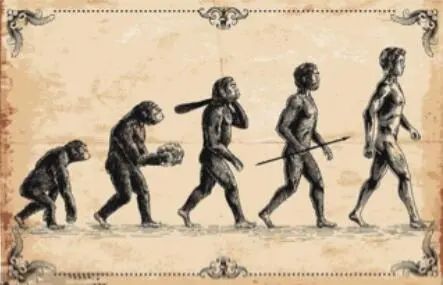 百车全说音频,百车全说chr