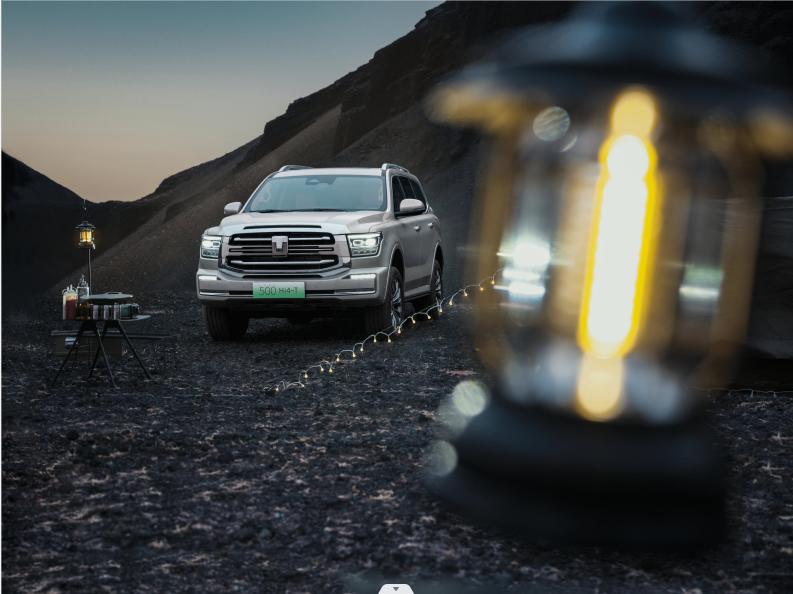 坦克500hi4t是小型新能源汽车吗,长城坦克500hi4-t落地价格