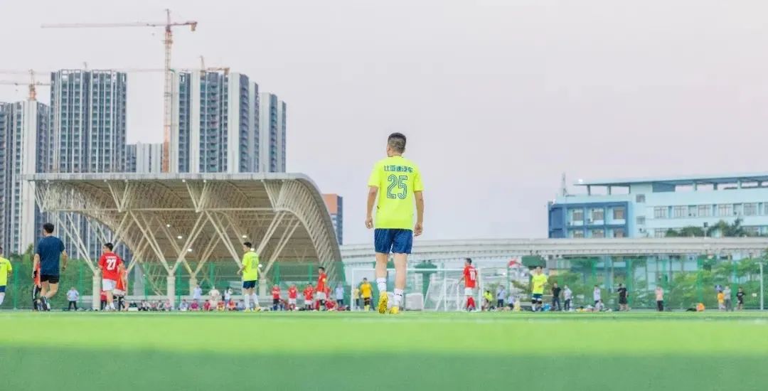 比亚迪人工避让,比亚迪接人模式