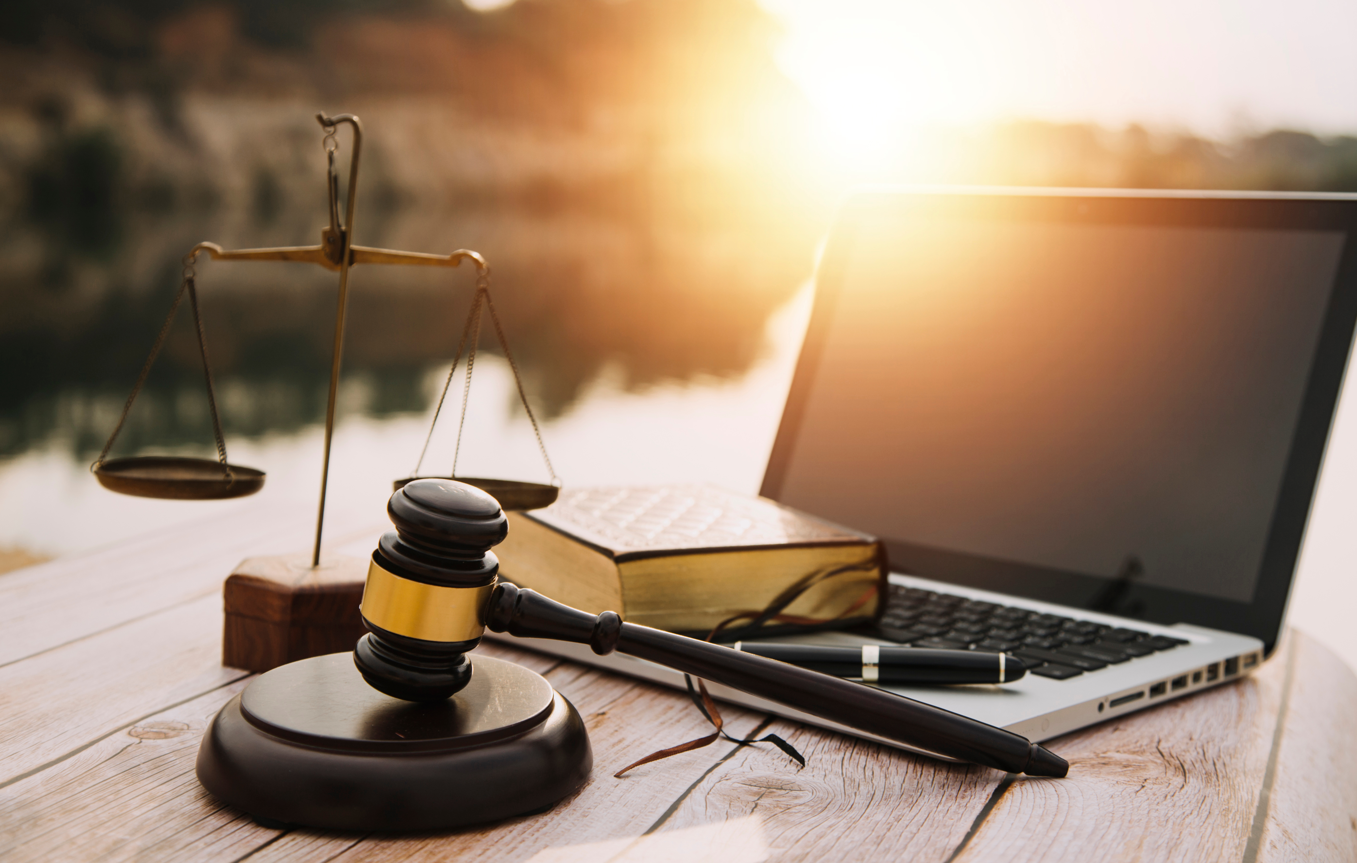 解读人类大脑的理智与情感,人类心智的形成