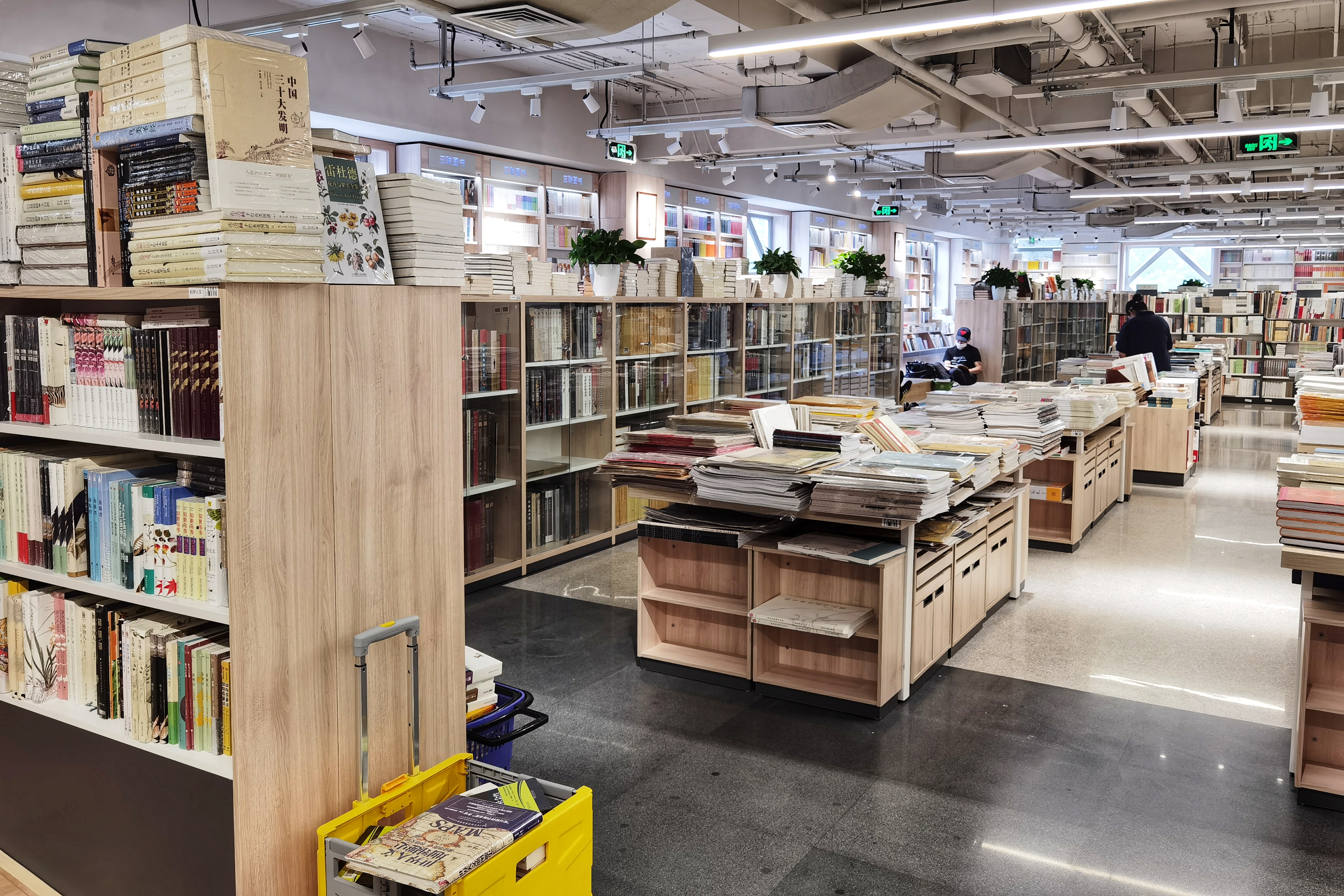 科学家发现大脑的秘密模式,人类大脑发展是有规律的