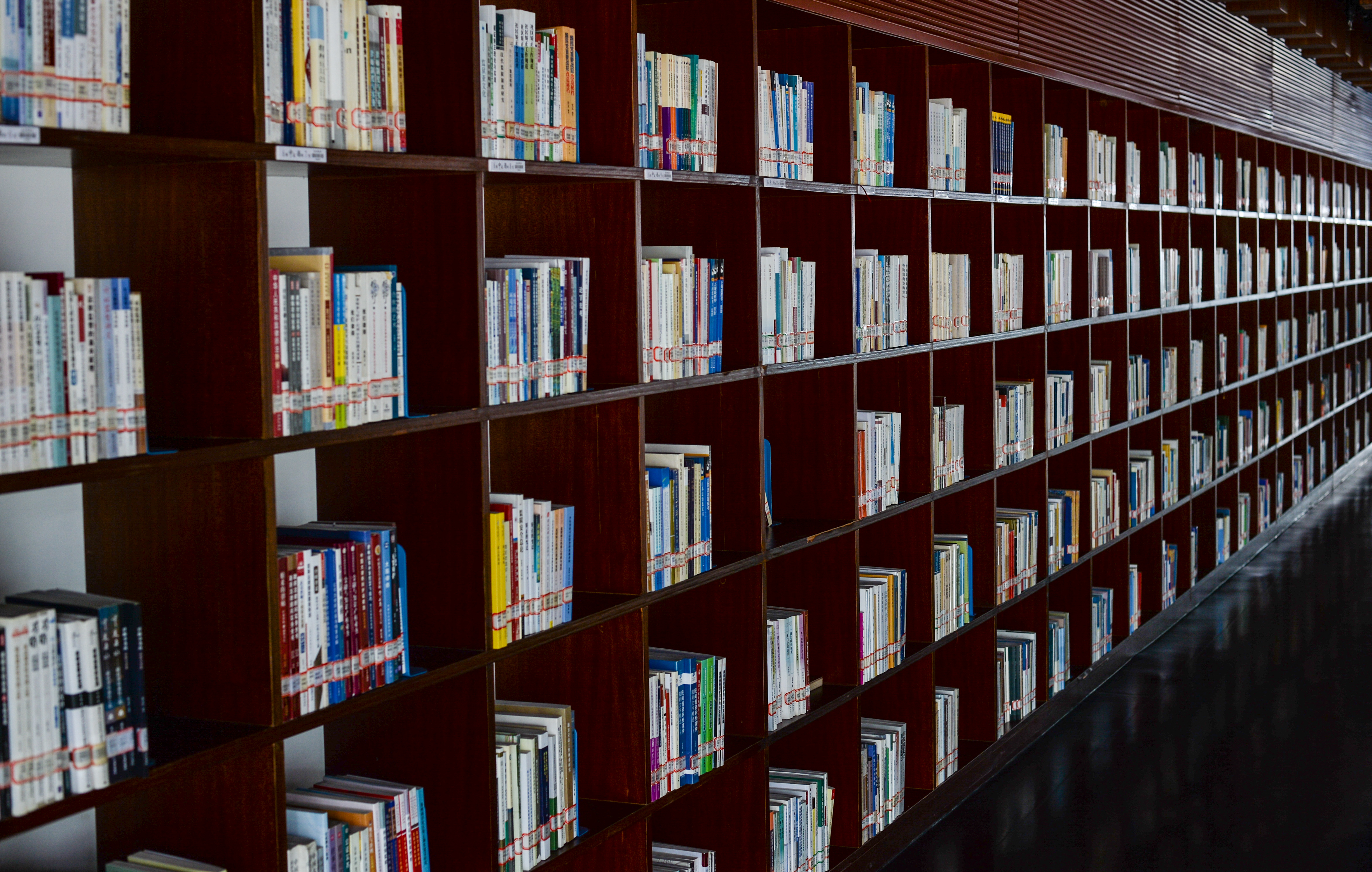 卫兵有什么用,卫兵的战斗力有多强