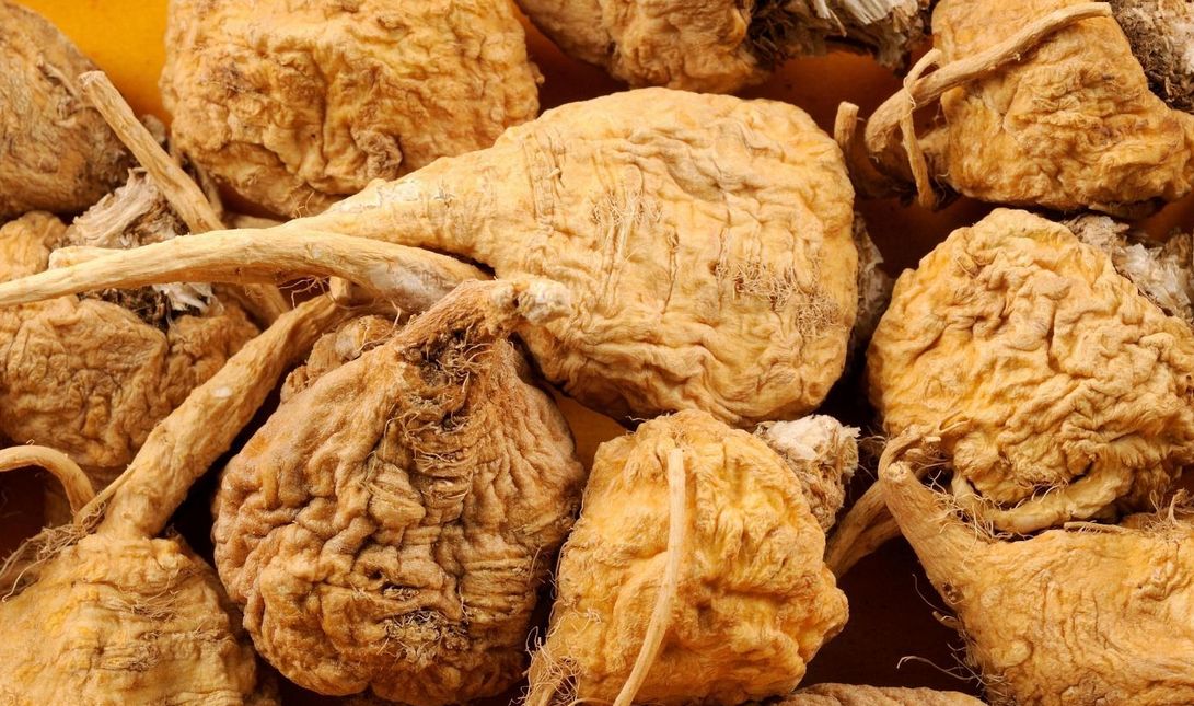 买玛卡官方旗舰店正品,玛卡在哪里买到正品