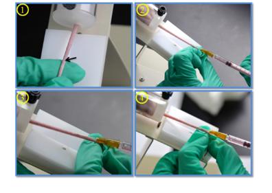 手把手教你工具病毒的注射方法（上）