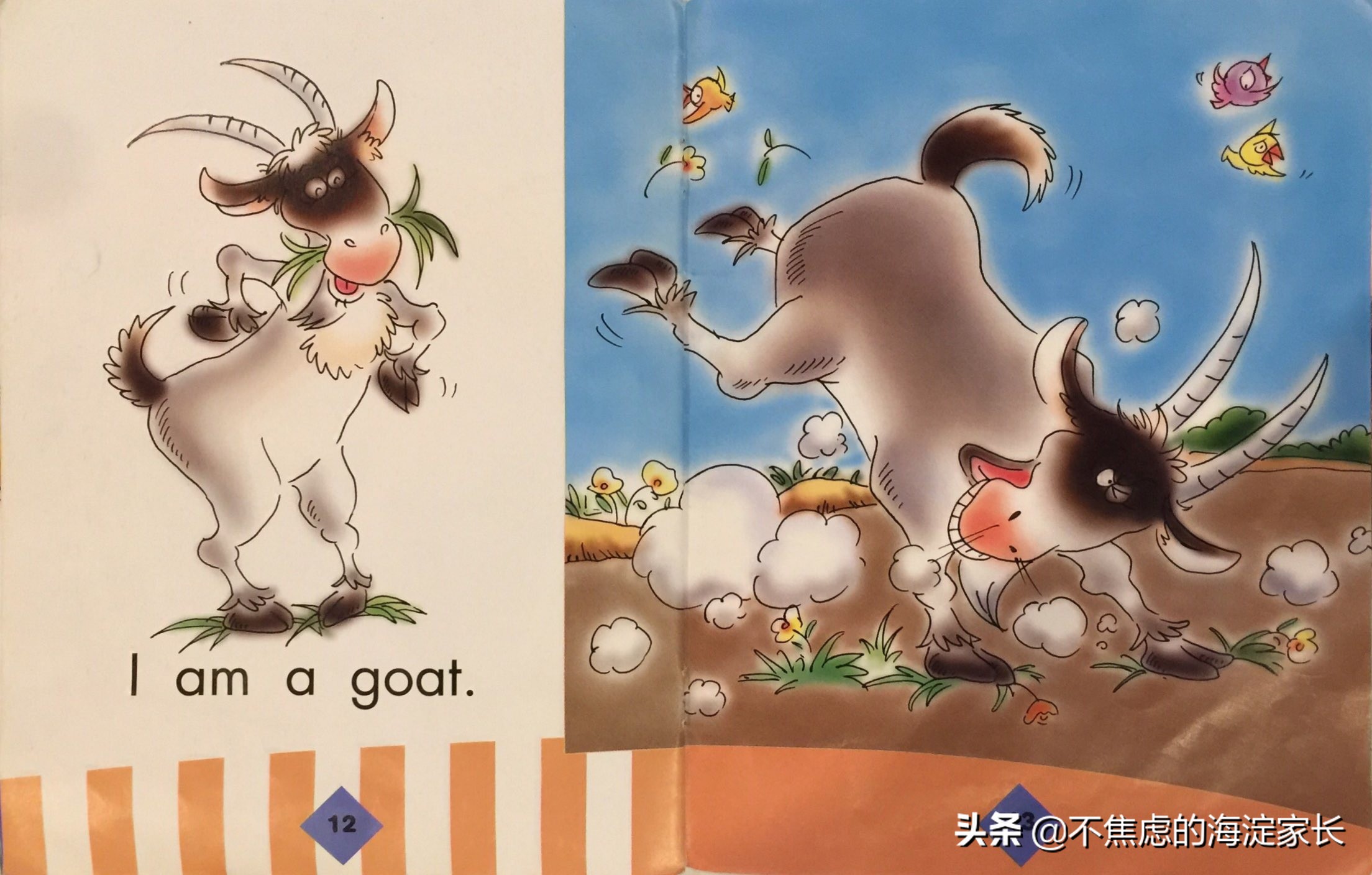 新西兰小学二年级课后读物,新西兰小学阅读书籍