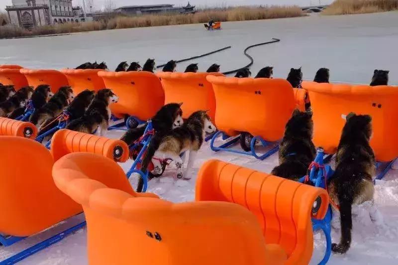 2020宁夏一日游旅游景点推荐,银川一日游最佳地方宁夏海洋公园