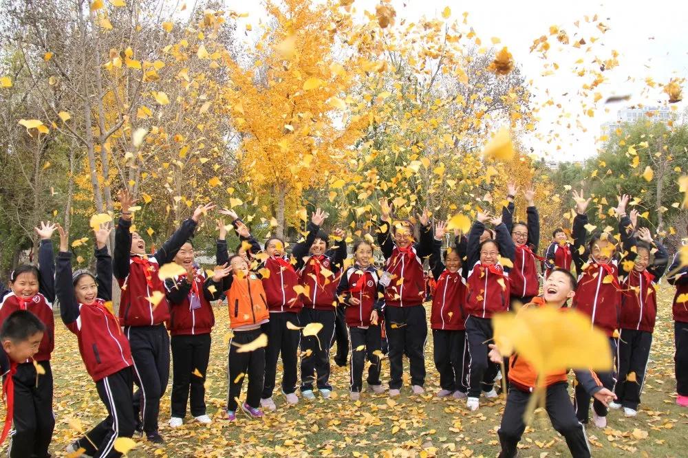 齐都实验学校：砥砺前行写华章异彩纷呈绘锦绣