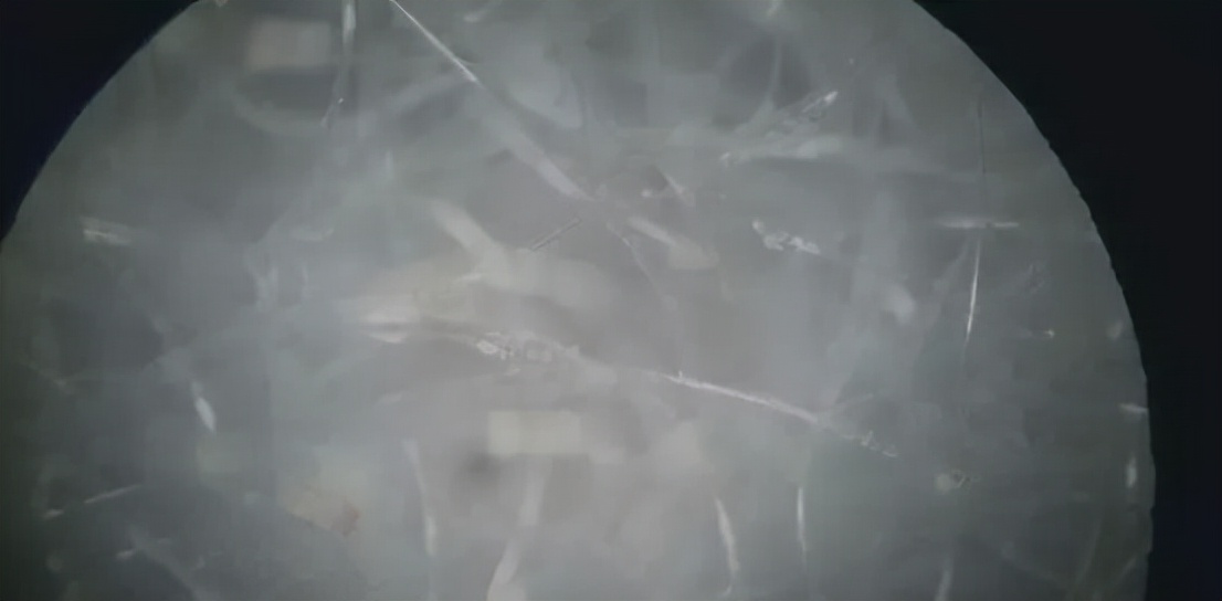 用什么方法快速除去床上的螨虫,祛除木床螨虫小妙招