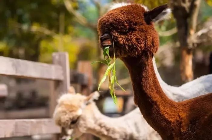 去泰国旅游免签证费时间,贵州去泰国旅游签证