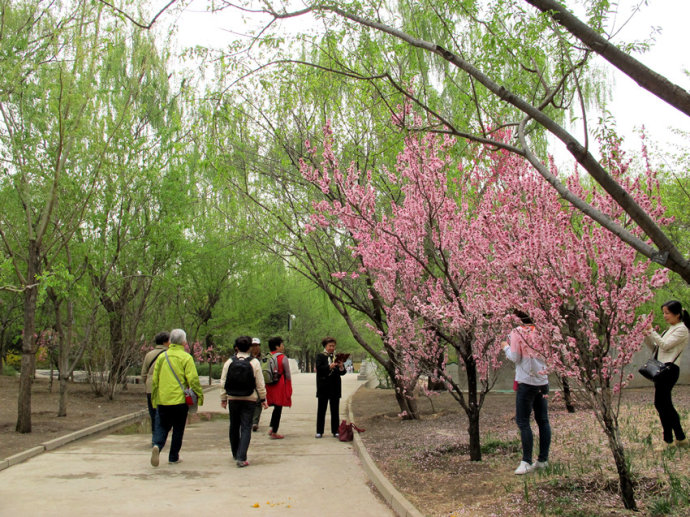 如何复制禁止复制的网页文字,大神是如何复制文字