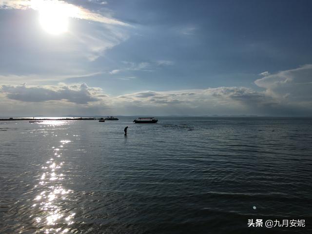 去达里湖看华子鱼洄游,达里诺尔湖华子鱼洄游在哪里