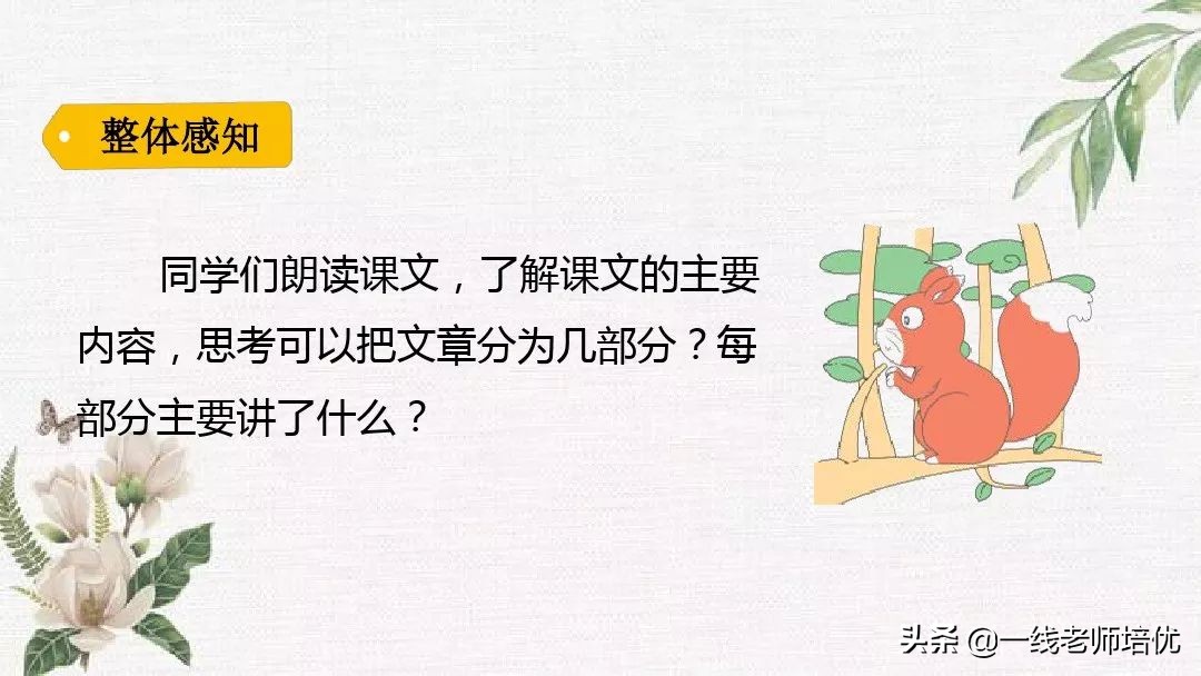 语文五年级上册第17课松鼠资料,部编版五年级上册第17课松鼠课件