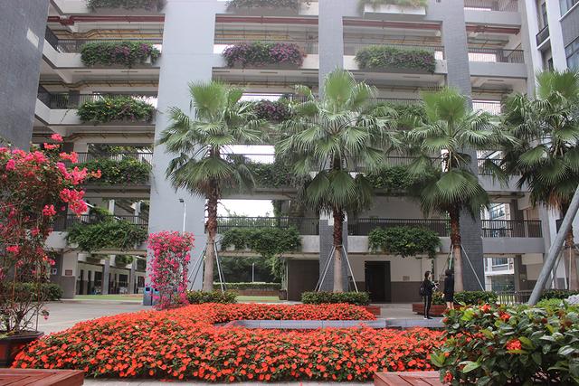 深圳明德实验学校和上南哪个好,深圳明德实验学校碧海校区排名