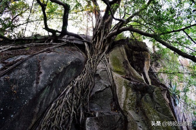 厦门海边之旅,厦门小众旅游体验