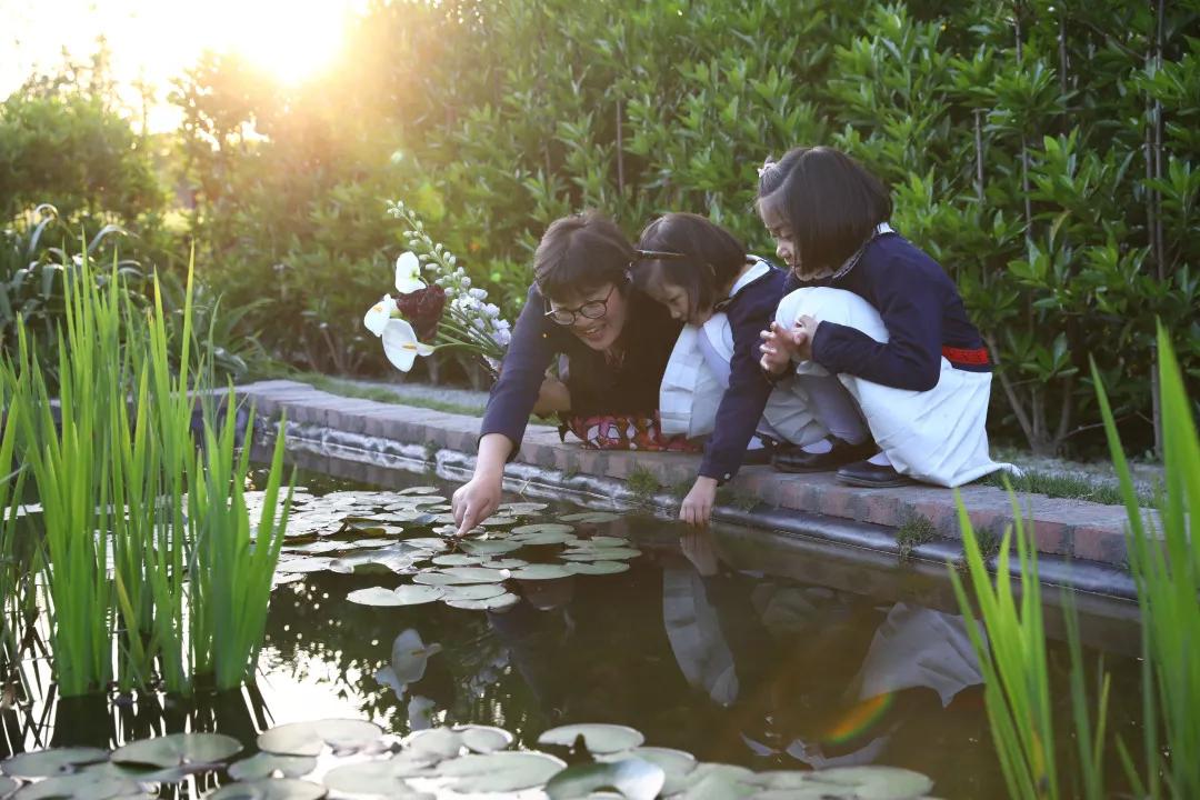 建一座完全不打药的生态花园,所有生命在这里和谐共处,值得收藏