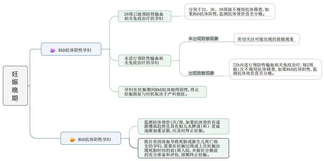 rh阴性熊猫血跟什么血型才能怀孕,rh阴性熊猫血能生几胎