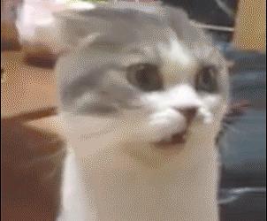 祛痘去黑头有什么药膏推荐,祛痘去黑头真实测评