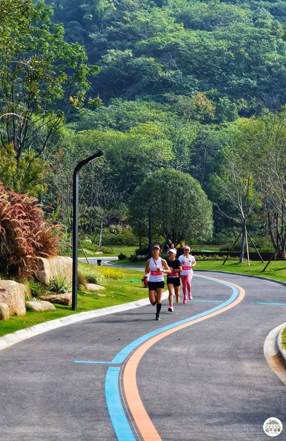 临平休闲运动公园,临平运动休闲公园免费吗