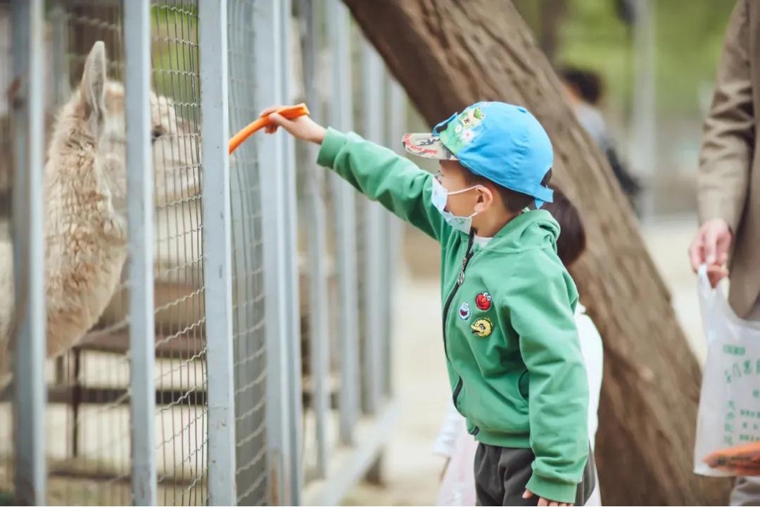 京郊适合亲子带娃的度假区,北京郊区亲子农庄比较适合遛娃