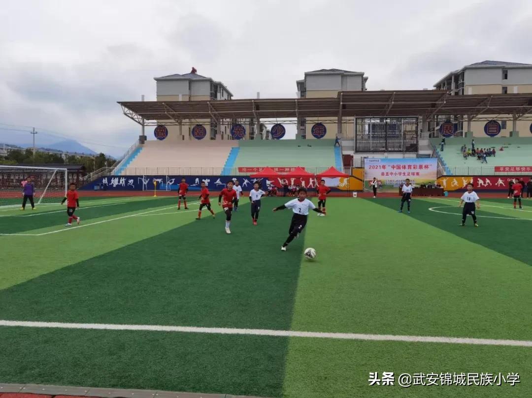 快乐足球放飞梦想演讲稿,快乐足球运动场