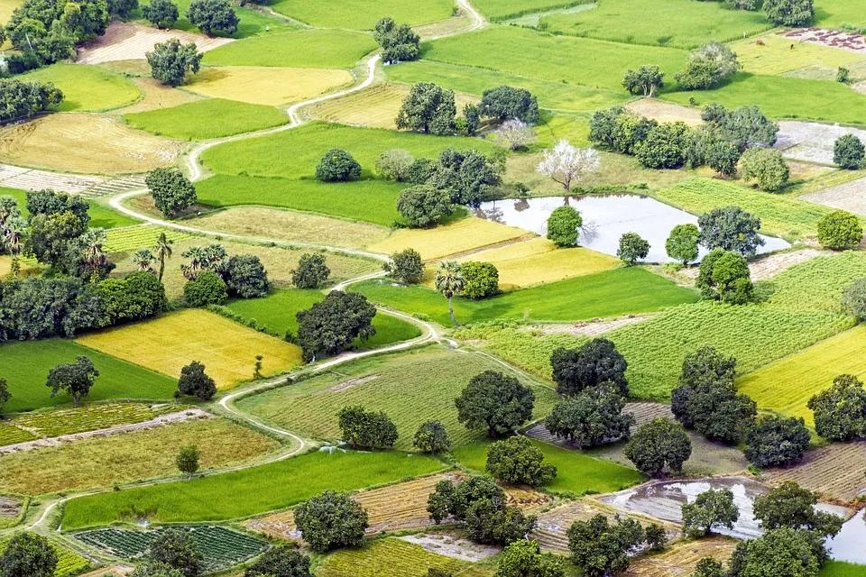 杈夊畨鍖栧伐鏈夐檺鍏徃,杈夊畨鍖栧伐