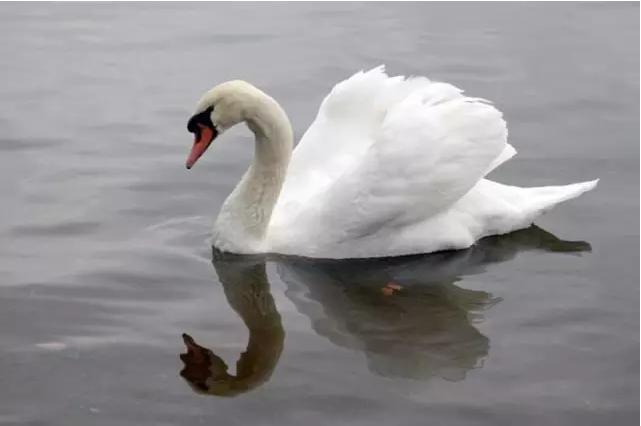 辛玛王国游乐场项目可以重复玩吗,辛玛王国游乐设施