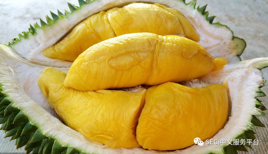 马来西亚的榴莲有啥品种,马来西亚榴莲有几种