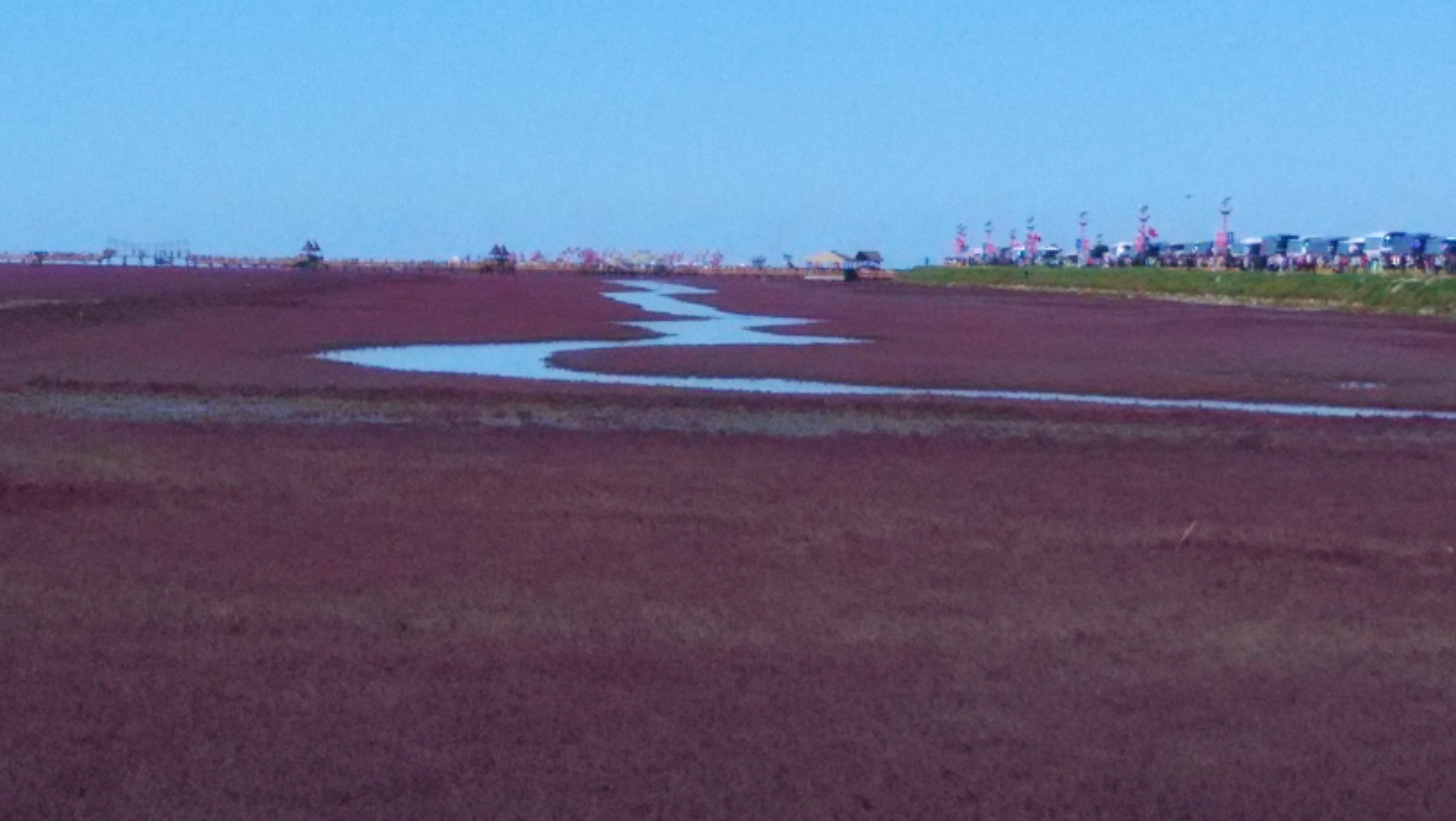 北京的北边有片红红的海北京很多人都没有去过