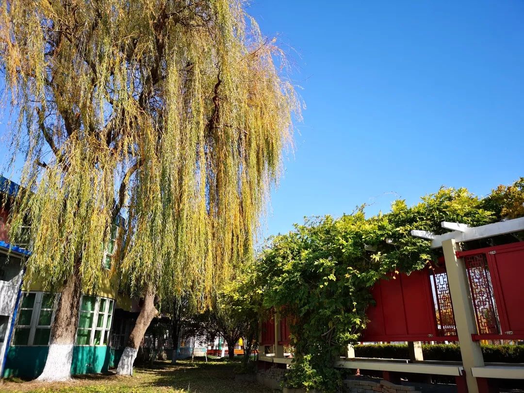 北京所有小学排名一览表,北京30所小学排名一览表