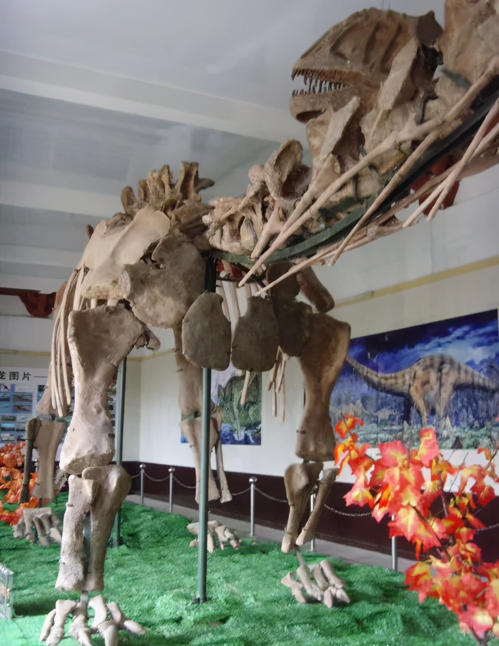 椋庣墿涔嬮兘,椋庣墿鍥涘窛