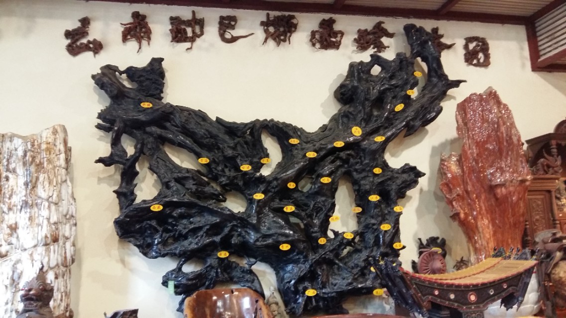 他发明了树木打点滴，到云南不要错过他的珍奇园