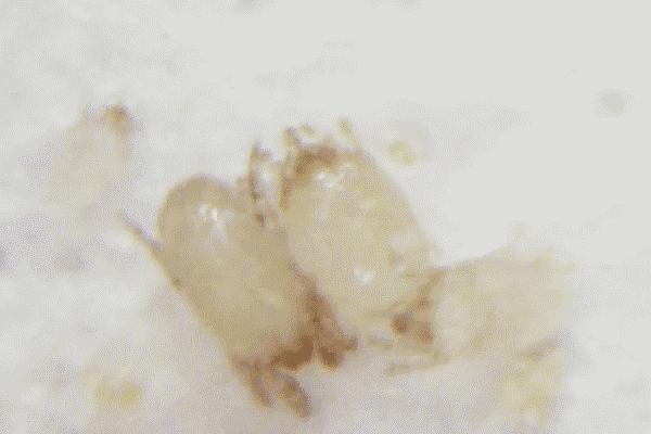 又贵又易被种草、买了发现闲置率超高的十大生活用品，看你中枪没