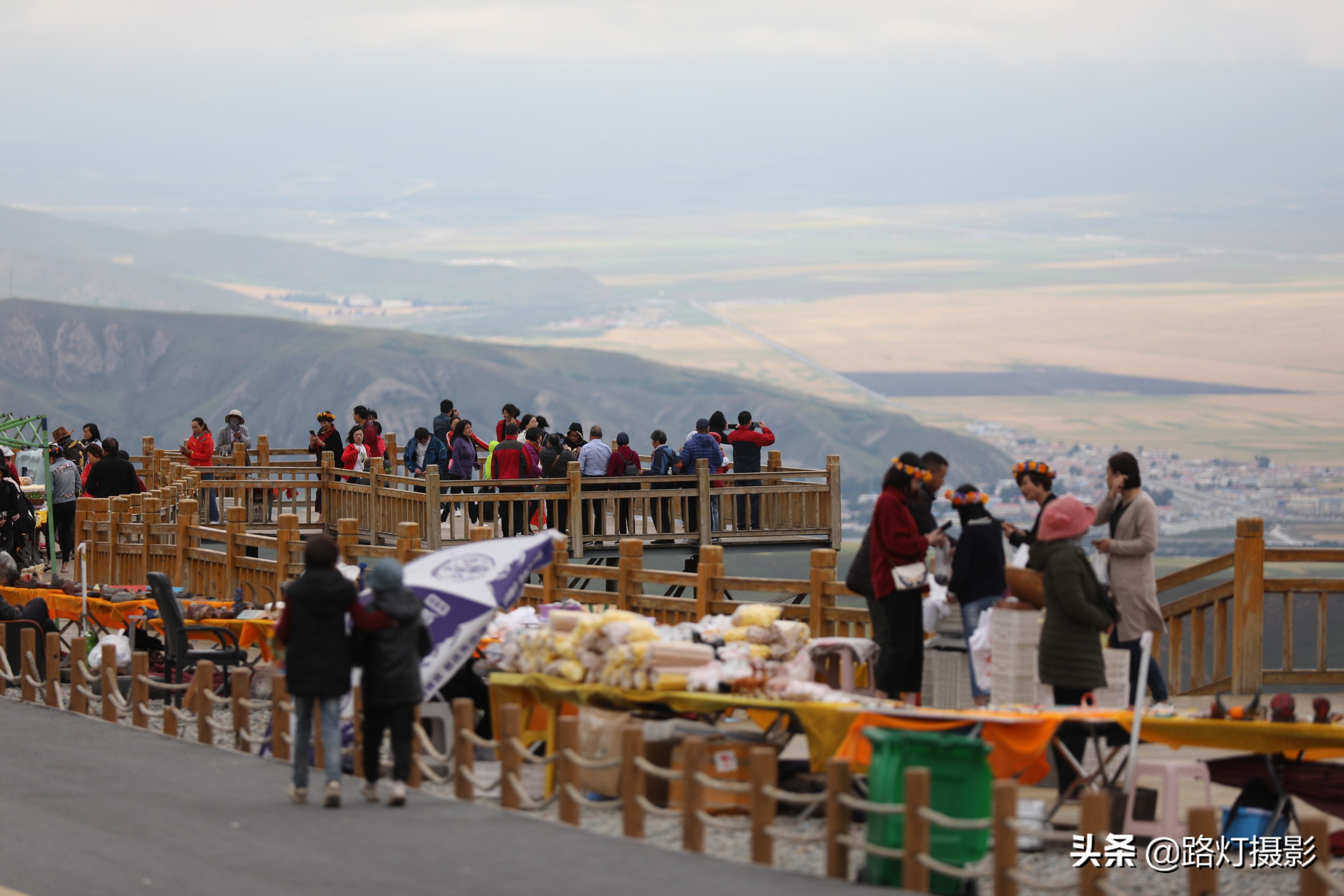 草原美丽的花海风景视频,青海花海旅游景区