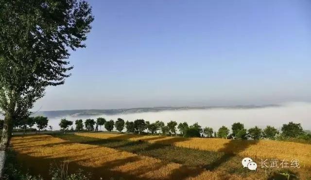 我在长武刚刚好，何必羡慕北上广