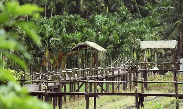 琼海塔洋古邑风情小镇,琼海有什么好玩的村庄