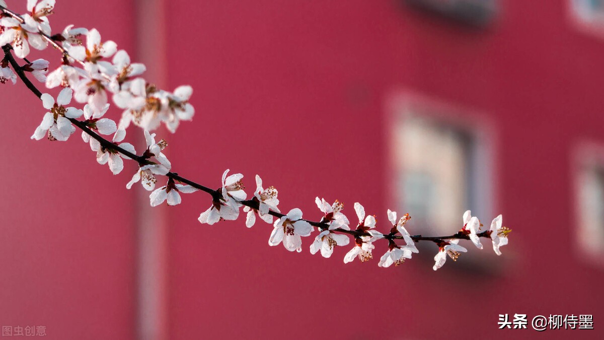 拍摄古建筑摄影技巧,古建筑双人拍照怎么拍出高级感