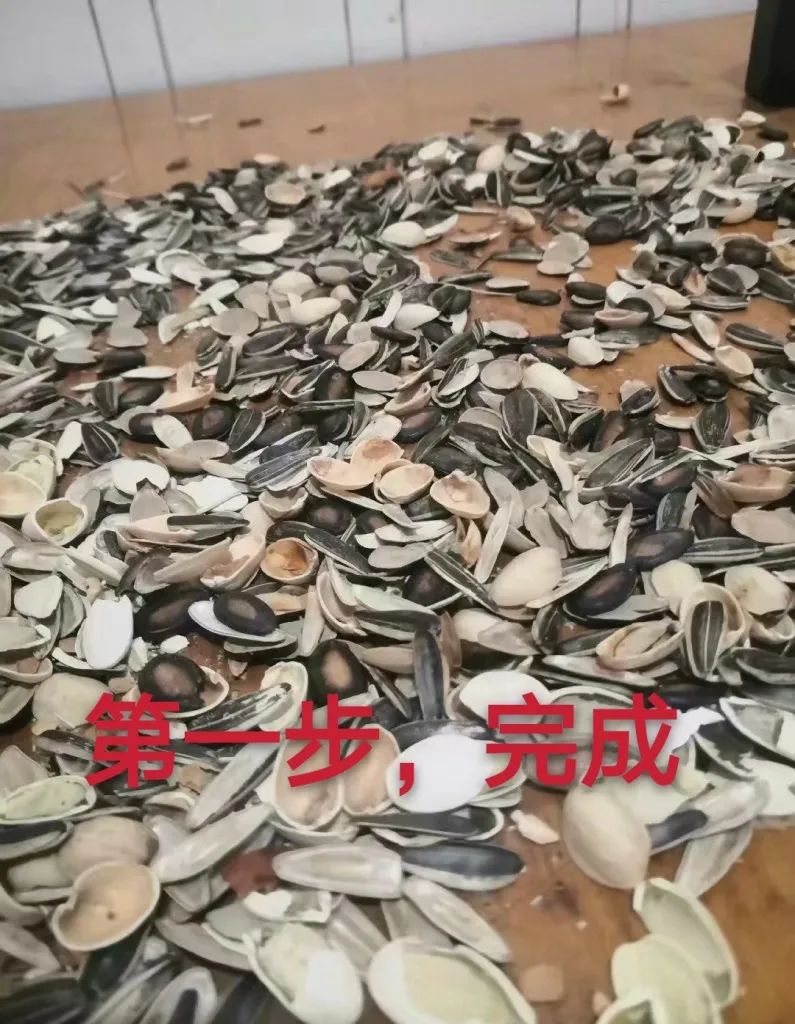 80后奶爸拍摄大片,80后奶爸拍摄西瓜视频