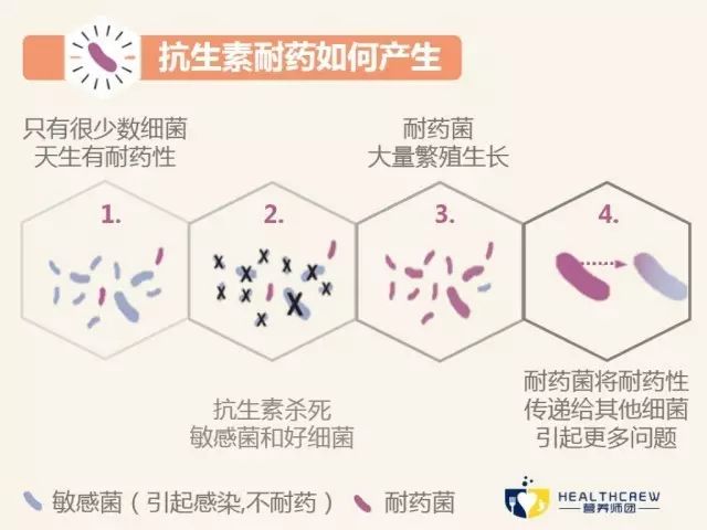 什么是抗生素治疗,什么是抗生素是消炎药么