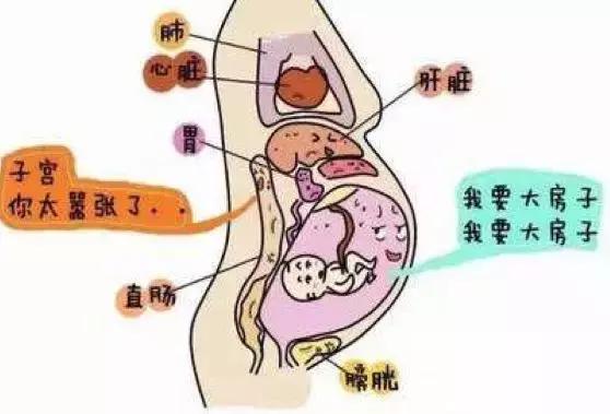 你这个磨人的小妖精,你这个磨人的小妖精电视剧